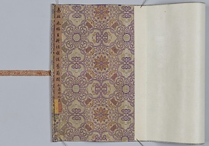 倣王翬槎溪芸菊図巻