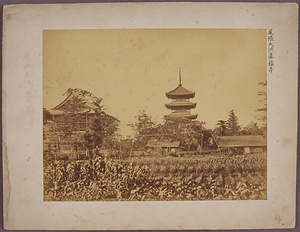 真福寺
