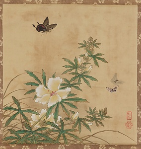 雅楽之助／蜀葵図