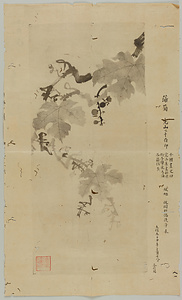 完山静中／葡萄図