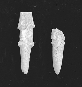 鹿角製銛頭・弭形角器未完成品