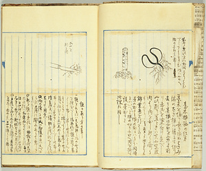 《培養秘録；上 接木之部・下 挿木之部》
