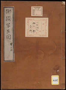 《躑躅写生図》