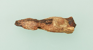 福岡県春日市下泉日拝塚古墳出土品