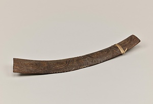 醫師ノ所持スル棒