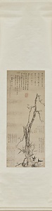 倣楊補之墨梅図軸