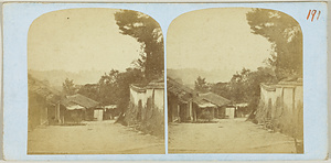 興福寺五重塔遠望