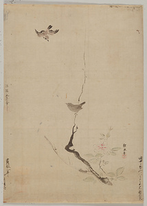 探幽／花鳥図