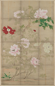 趙昌／大牡丹図