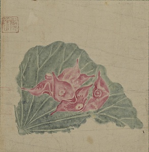 趙昌／蓮花蓮葉図