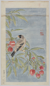 沈士容／果実鳥図