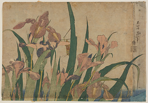 菖蒲にきりぎりす