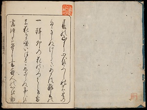 雛形千歳草