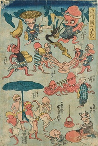 流行鮹のあそび