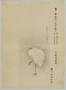 探幽／鷺図