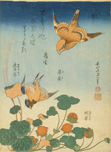 鵙 翠雀 蛇苺 虎耳草