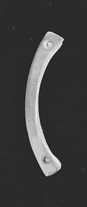 牙器