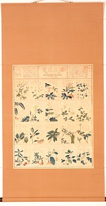 毒品便覧 第１集