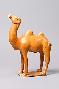 黄釉駱駝