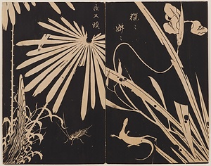 玄圃瑤華のうち花菖蒲・棕櫚