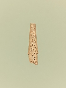 ヤス状刺突具残欠