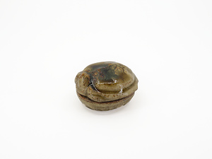 黄瀬戸亀　香合