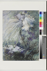 鎮魂歌 脱出にもがく鳩