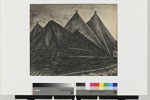 ボタ山  住友忠隈坑