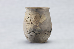 東入部遺跡2次　弥生土器鉢