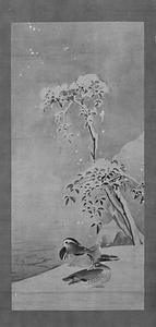南天鴛鴦