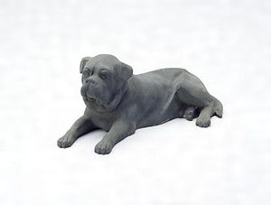 犬