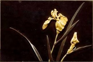色絵法花菖蒲手板