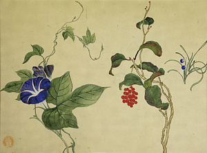 賀来飛霞植物写生図　朝顔図ほか