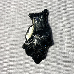 異形石器（フクロウ形？）