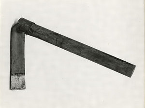 カタテヘラグワ