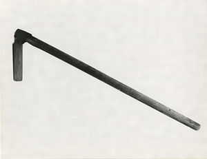 ビッチュウグワ