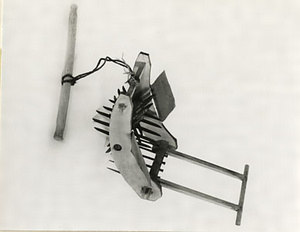 オニウマグワ(鬼馬鍬)