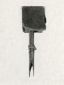 マメコギ（豆扱）