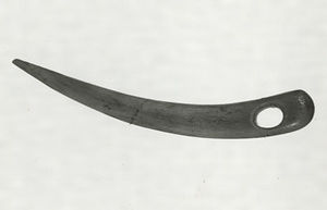 メヌキトオシ（目貫通）