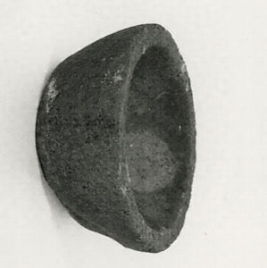 カマボココネバチ