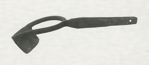 マツノカワムキ（松の皮剥）