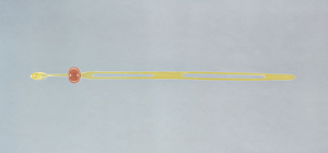 擬珊瑚玉擬鼈甲簪