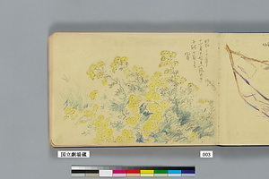 『草木』（千駄ヶ谷）②