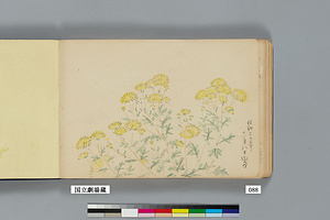 『草木』（千駄ヶ谷）⑤