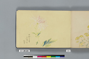 『草木』（千駄ヶ谷）⑥