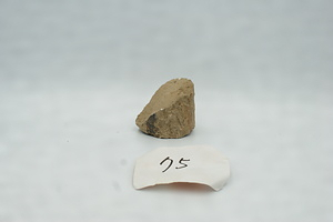 石棒_塩屋金清神社遺跡№75