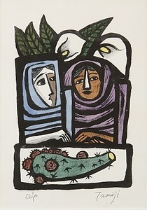 さぼてん売りと海芋