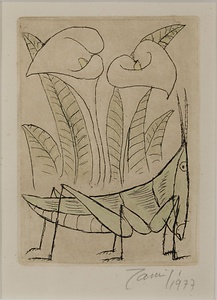 バッタとカイウ