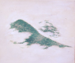 緑岩彩雨後の山