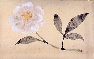 水墨淡彩白芍薬図